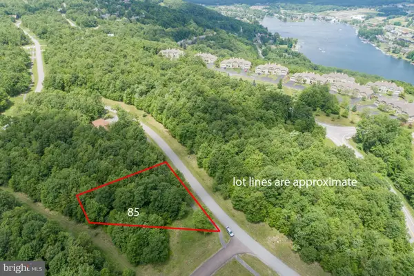 Lot 85 Snowhaven Ln, MC HENRY, MD 21541