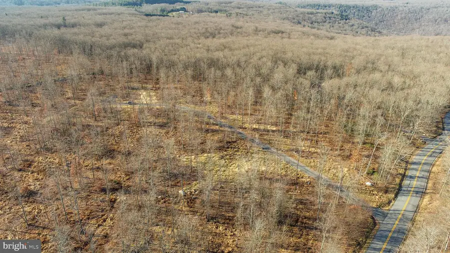 10 Ac Shingle Camp Rd, 6 Sang Run, MD 21541 - Image #3