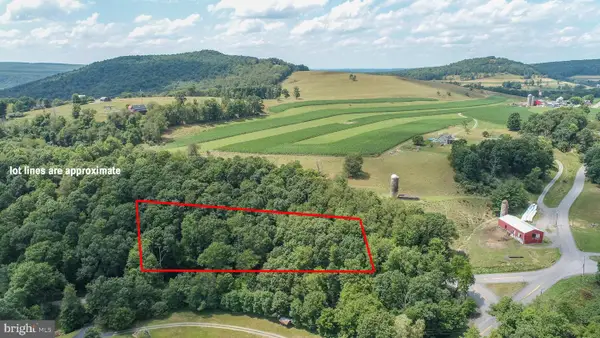 Sang Run Rd, MC HENRY, MD 21541