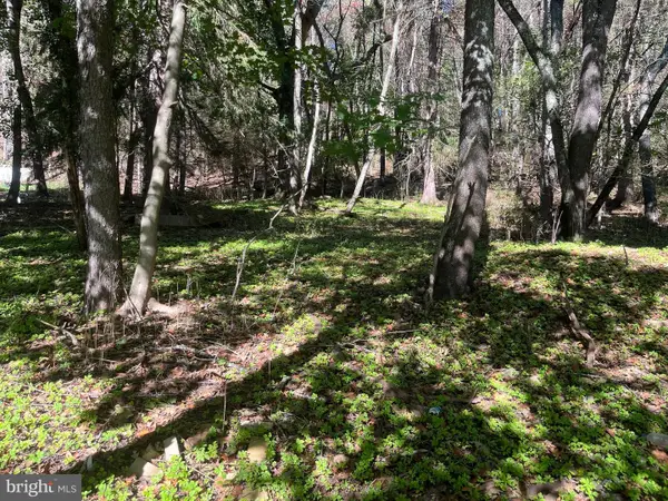 Hammond St, OAKLAND, MD 21550