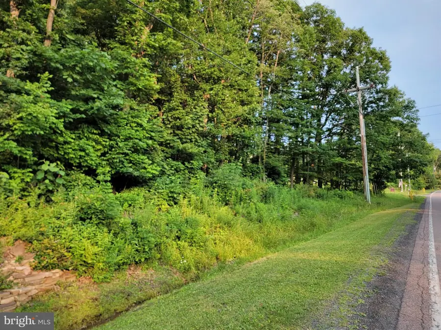 Parcel 64 New Germany Rd, Grantsville, MD 21536 - Image #2