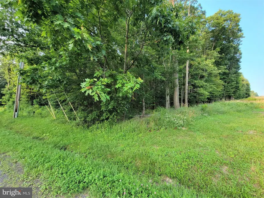 Parcel 64 New Germany Rd, Grantsville, MD 21536 - Image #3