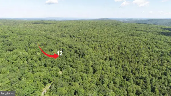 12 Stool Rock Rd, OAKLAND, MD 21550