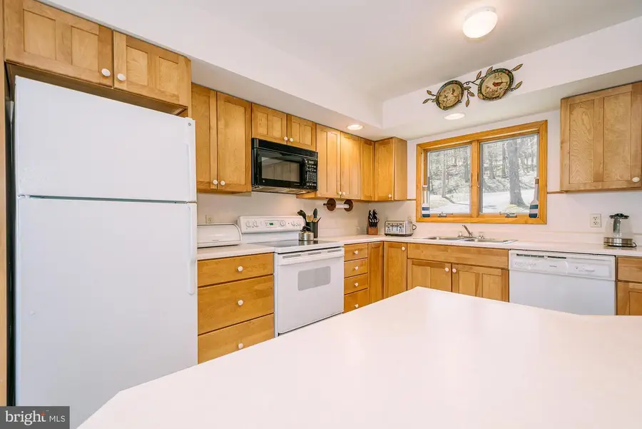 1723 Marsh Hill Rd, McHenry, MD 21541 - Image #2