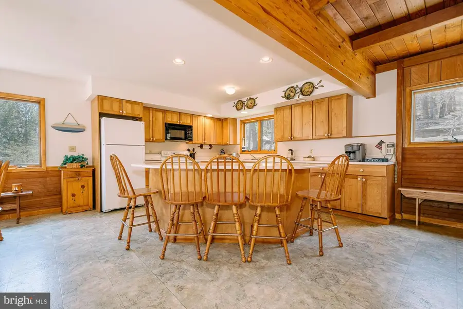 1723 Marsh Hill Rd, McHenry, MD 21541 - Image #3