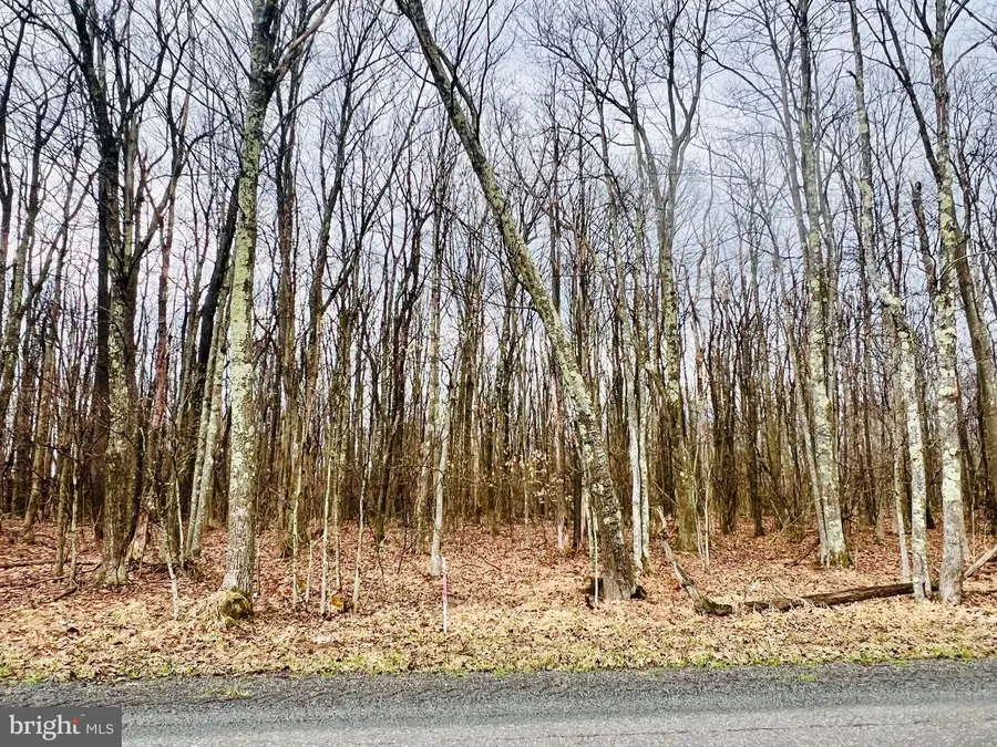 Bethlehem Rd #lot A (8.73 Ac), Oakland, MD 21550 - Image #2