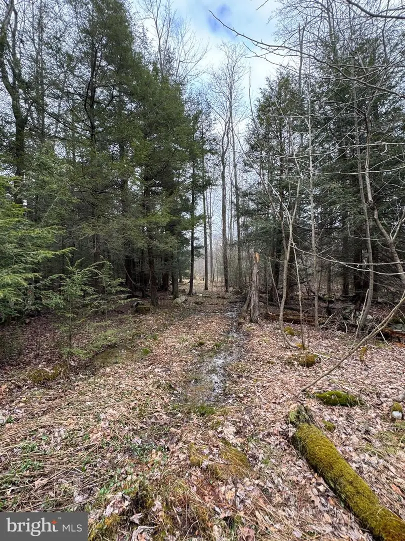 Mayhew Inn Rd, Oakland, MD 21550 - Image #3