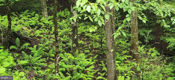 Yough View Dr #12, OAKLAND, MD 21550