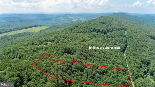 Lot 7 Backbone Ridge Rd, OAKLAND, MD 21550