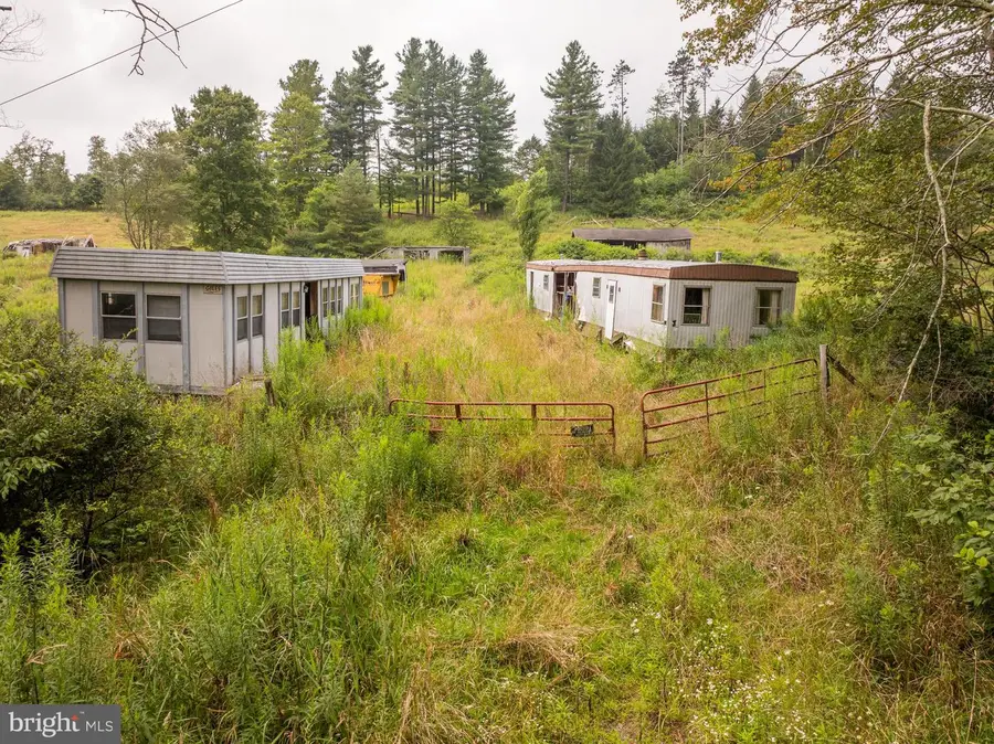 1055 Old Wilson Rd, Swanton, MD 21561 - Image #3