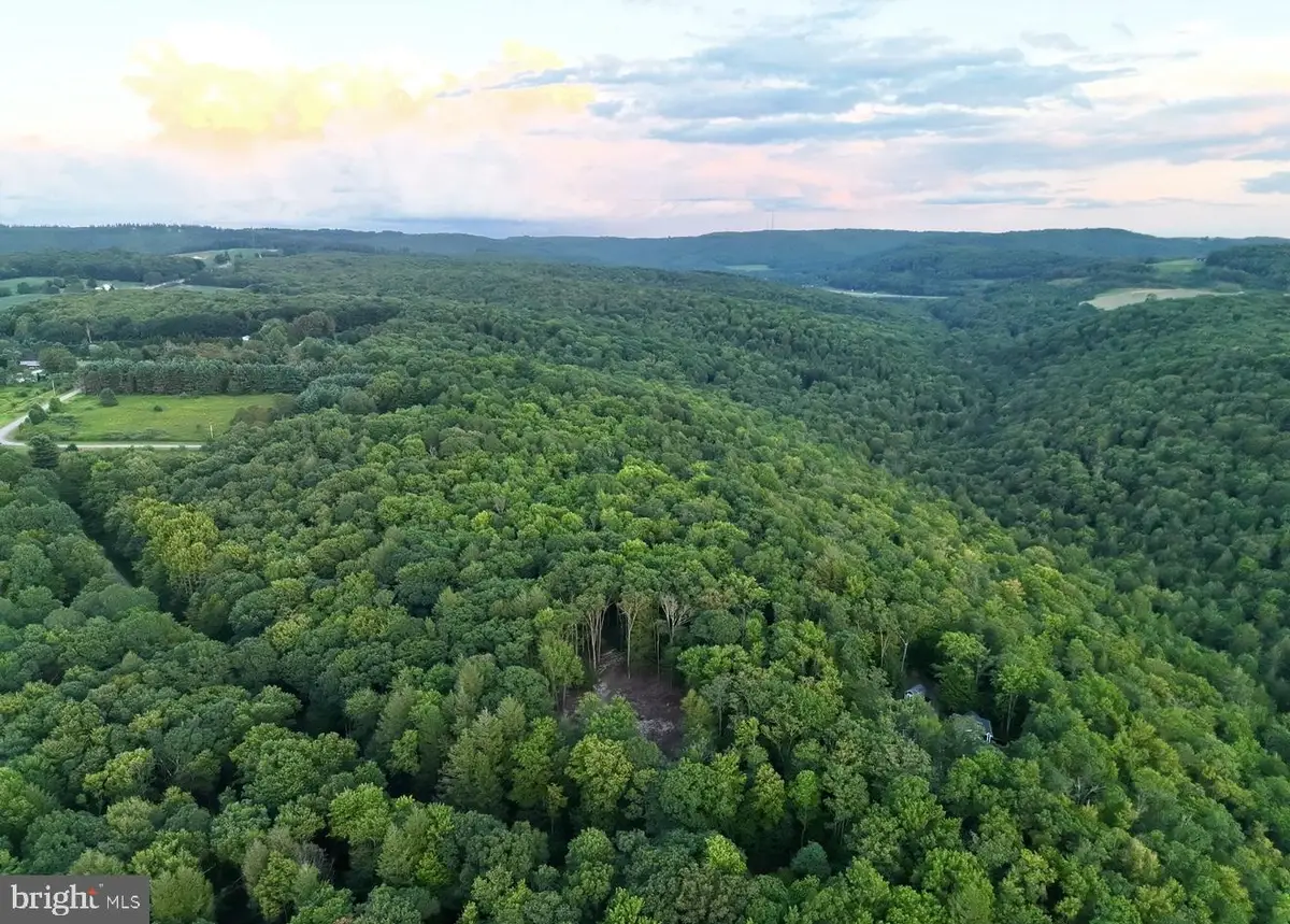 Scenic Dr, Grantsville, MD 21536 - Image #1