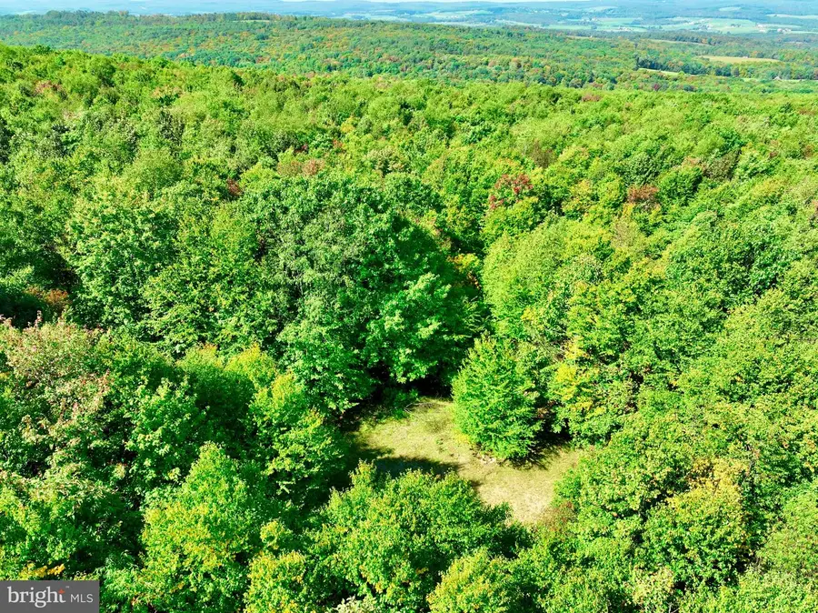 Lot 12 Windswept Ln, Grantsville, MD 21536 - Image #2