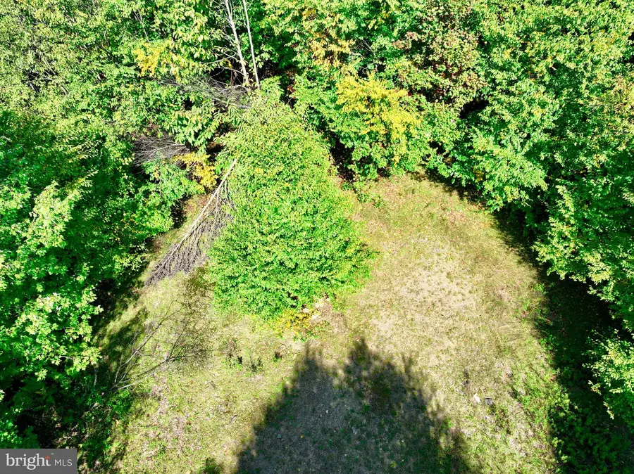 Lot 12 Windswept Ln, Grantsville, MD 21536 - Image #3