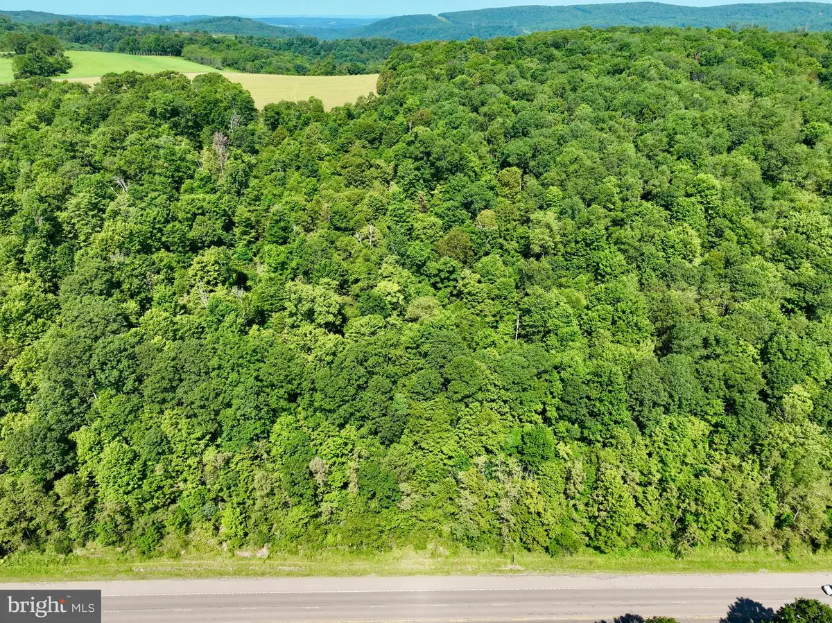 Garrett Hwy, Accident, MD 21520 - Image #1