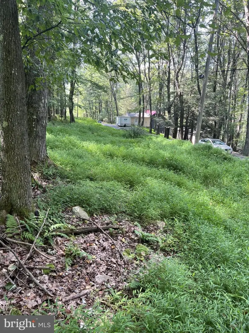 Santa Fe Trl, Oakland, MD 21550 - Image #2