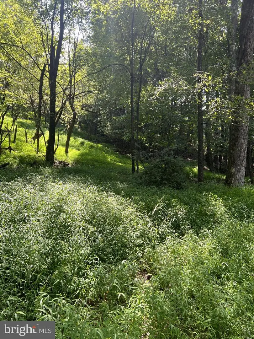 Santa Fe Trl, Oakland, MD 21550 - Image #3