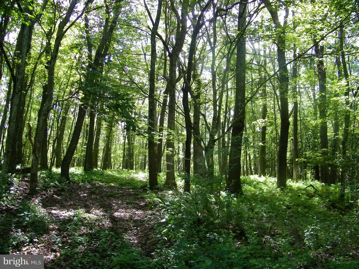 Longview Ln, Oakland, MD 21550 - Image #1