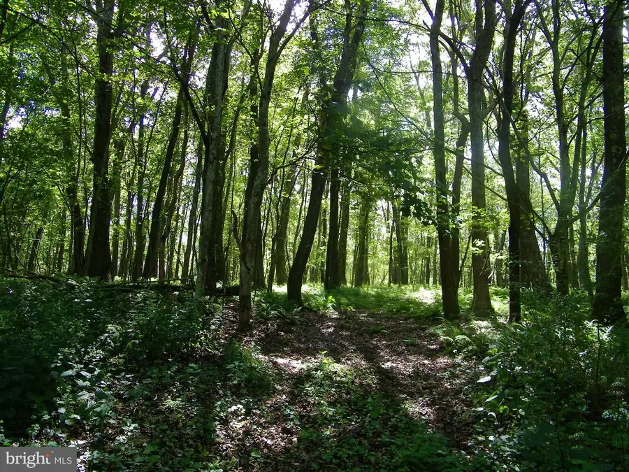 Longview Ln, Oakland, MD 21550 - Image #2