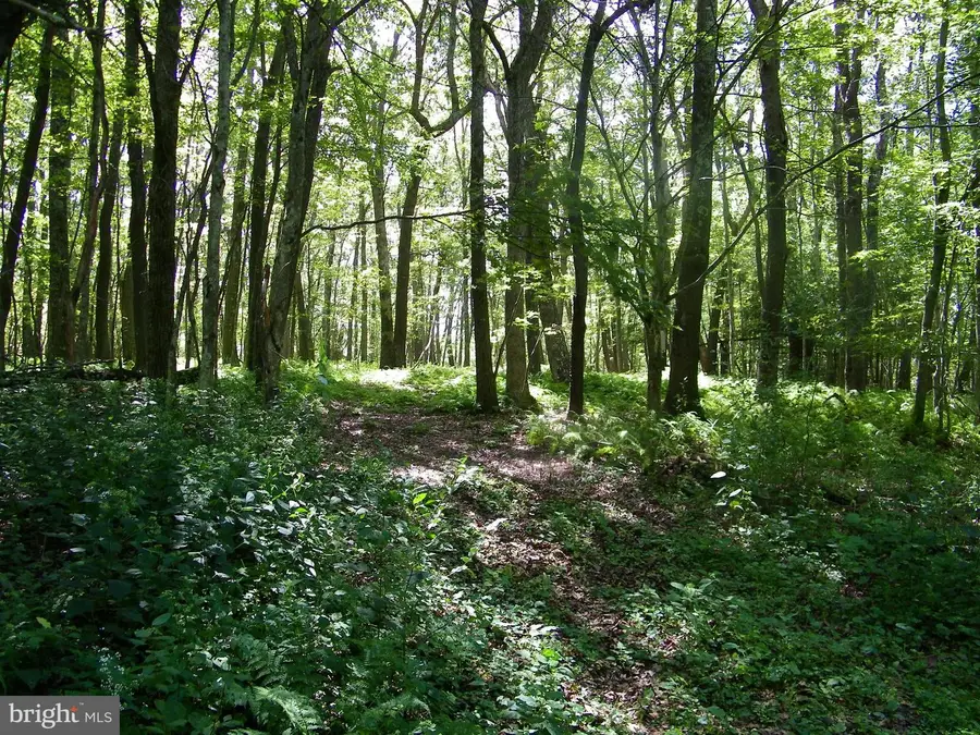 Longview Ln, Oakland, MD 21550 - Image #3