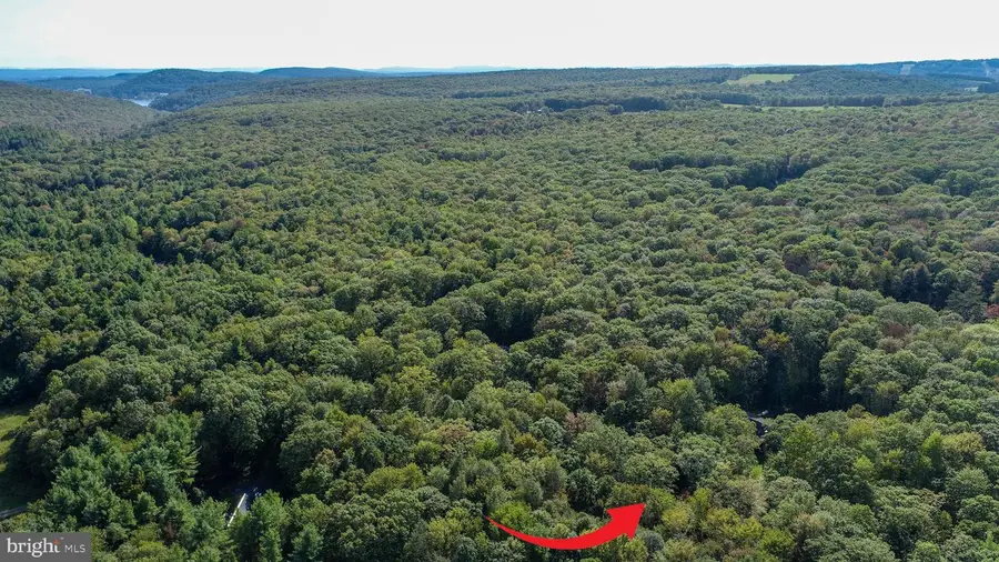 Limpopo Ln, McHenry, MD 21541 - Image #2