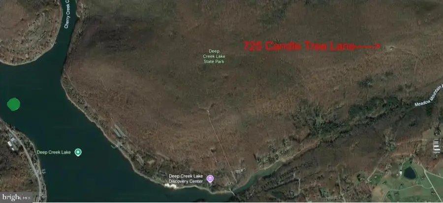 725 Candle Tree Ln, Swanton, MD 21561 - Image #2