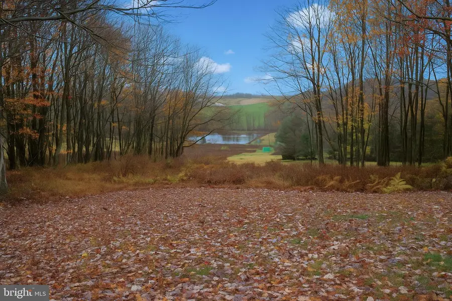 210 Lakeview Dr, Grantsville, MD 21536 - Image #2