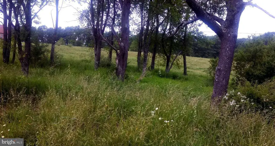Lot 7, W Blue Goose Rd, Friendsville, MD 21531 - Image #3