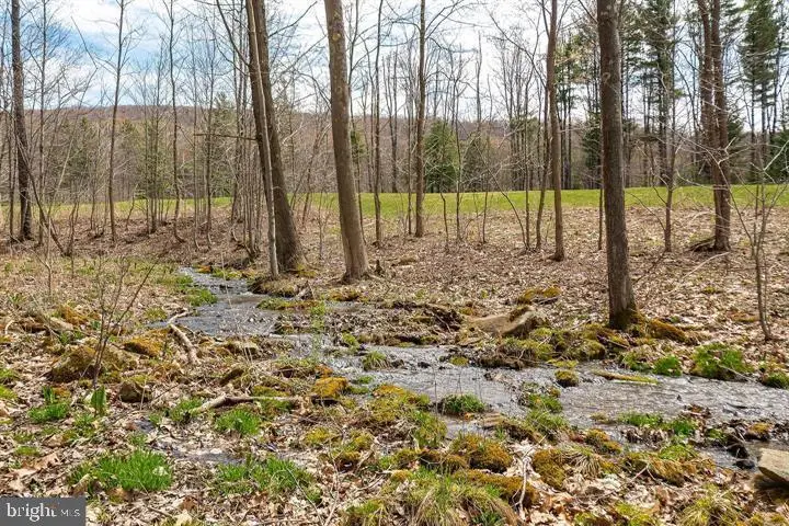 Lot 19 Fantasy Ln, 6 Sang Run, MD 21541 - Image #3