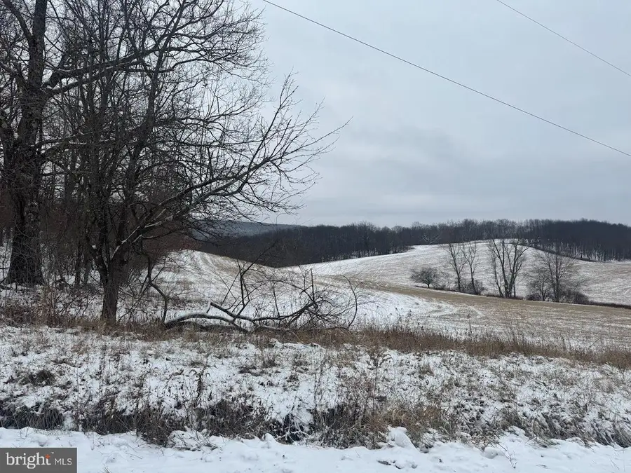 760 Sweitzertown Rd, Swanton, MD 21561 - Image #3