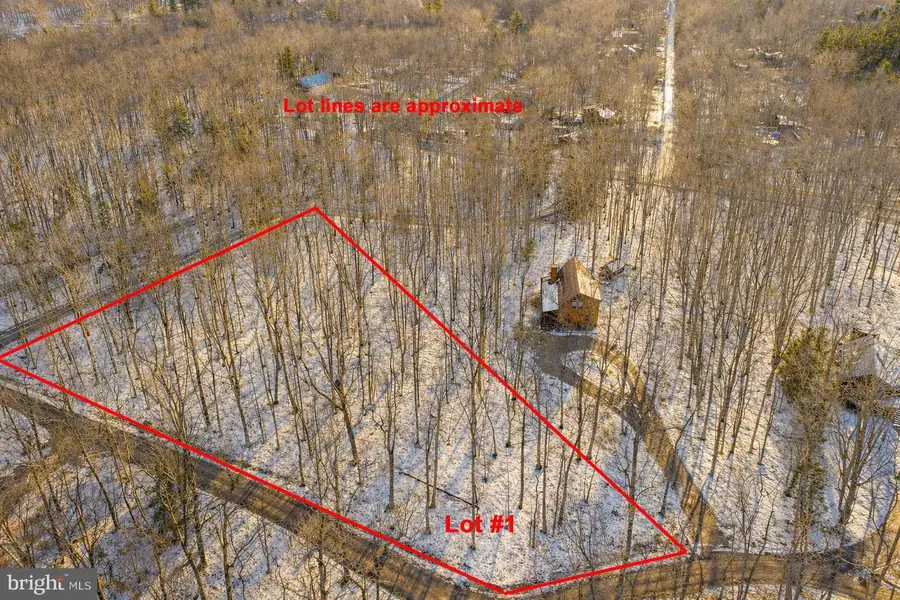 Lot 1 Thomas Cir, Swanton, MD 21561 - Image #3