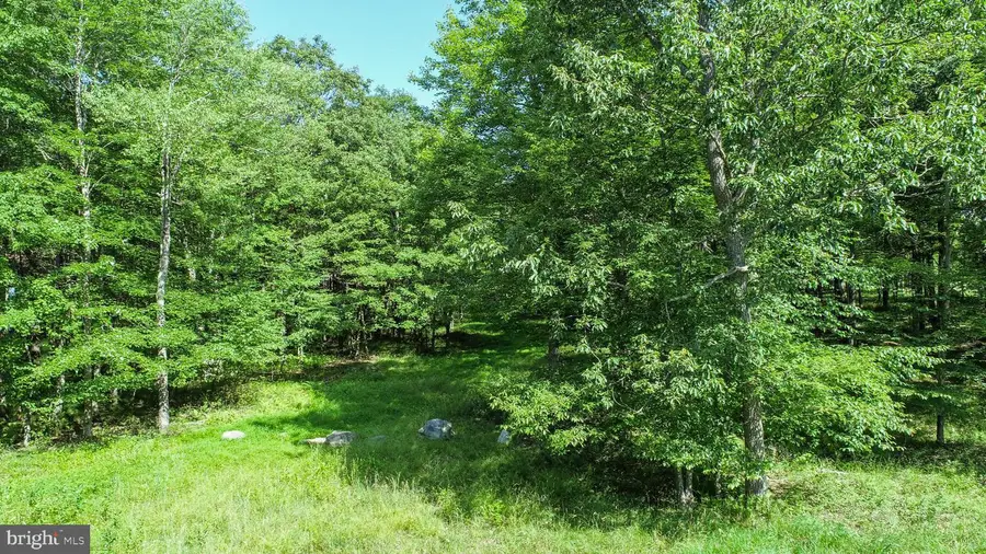 36 Fern Loop Dr, 6 Sang Run, MD 21541 - Image #3