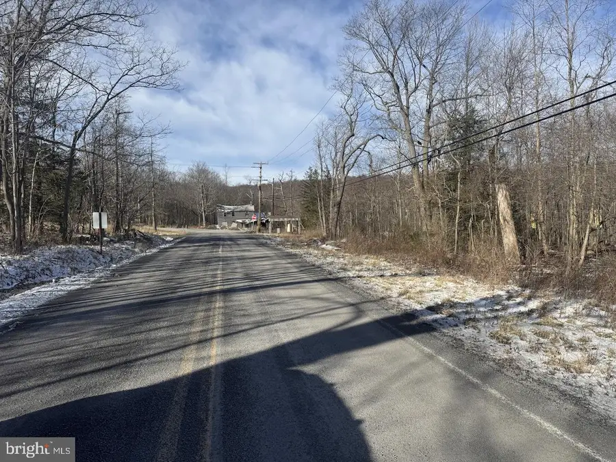 Chestnut Grove Rd, Swanton, MD 21561 - #2