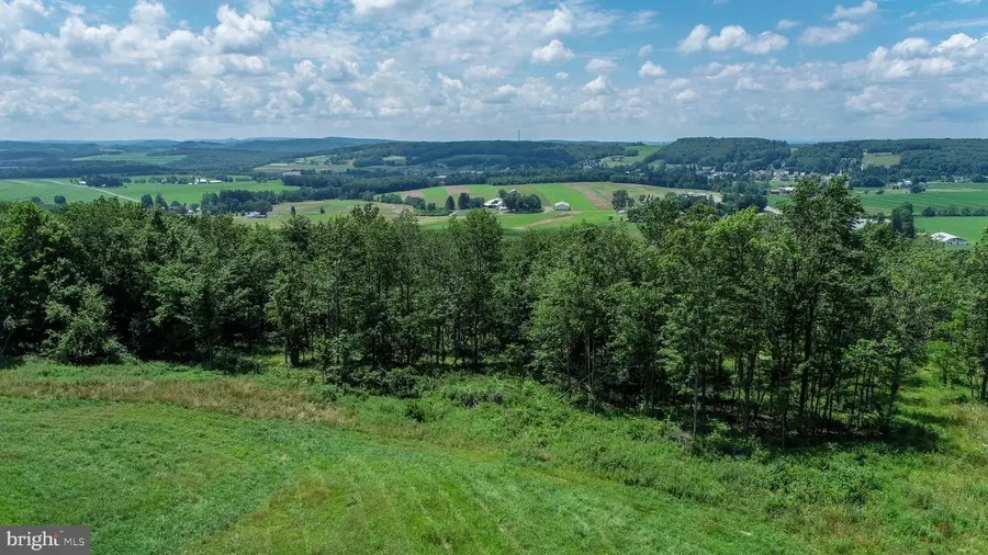 Lot 4 Greenwood Ridge Rd, Accident, MD 21520 - #3