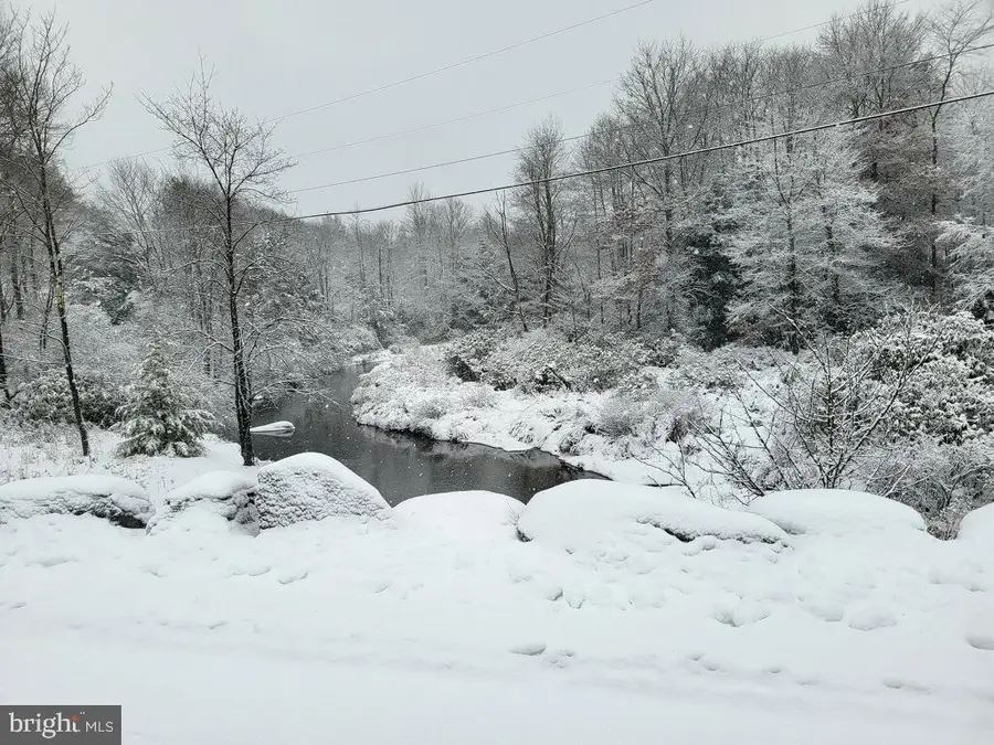 Lot 36 Fox Tail Rd, Oakland, MD 21550 - #3