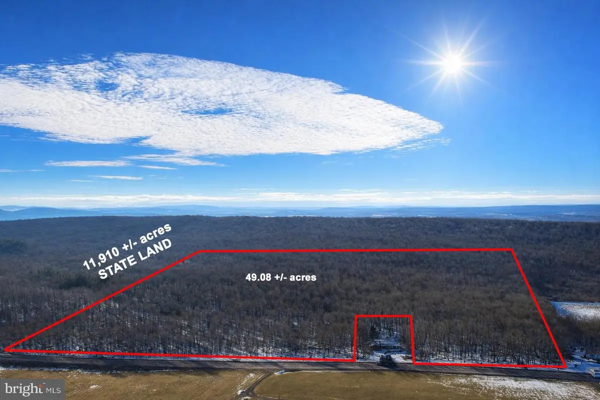 49.08 Acres Maryland Hwy, Swanton, MD 21561 - #1