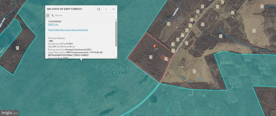 49.08 Acres Maryland Hwy, Swanton, MD 21561 - #3
