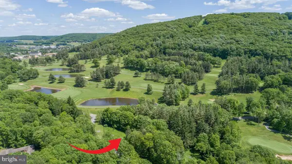 21 Fantasy Ln, MC HENRY, MD 21541