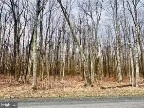 Tbd 15.75 Acres Bethlehem Road, Oakland, MD 21550 - #1