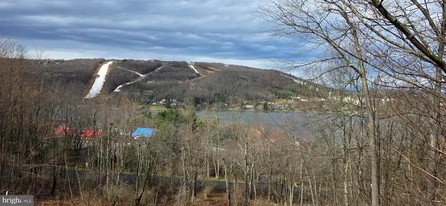 Timber Ridge Rd #10, McHenry, MD 21541 - #3