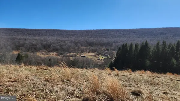 584 Old Wilson Rd, SWANTON, MD 21561