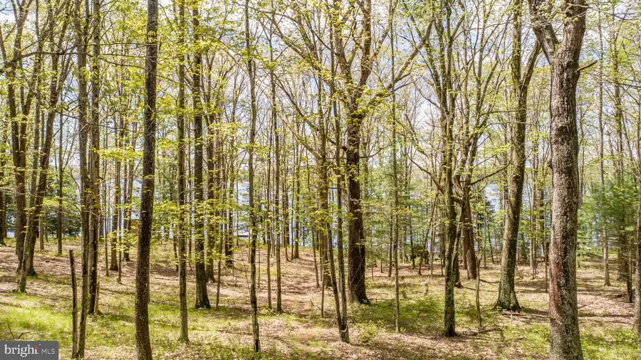 1461 Shoreline Dr, Swanton, MD 21561 - #3