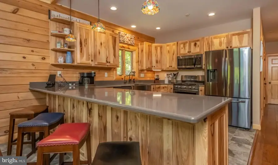 971 Fork Run Trl, McHenry, MD 21541 - #3