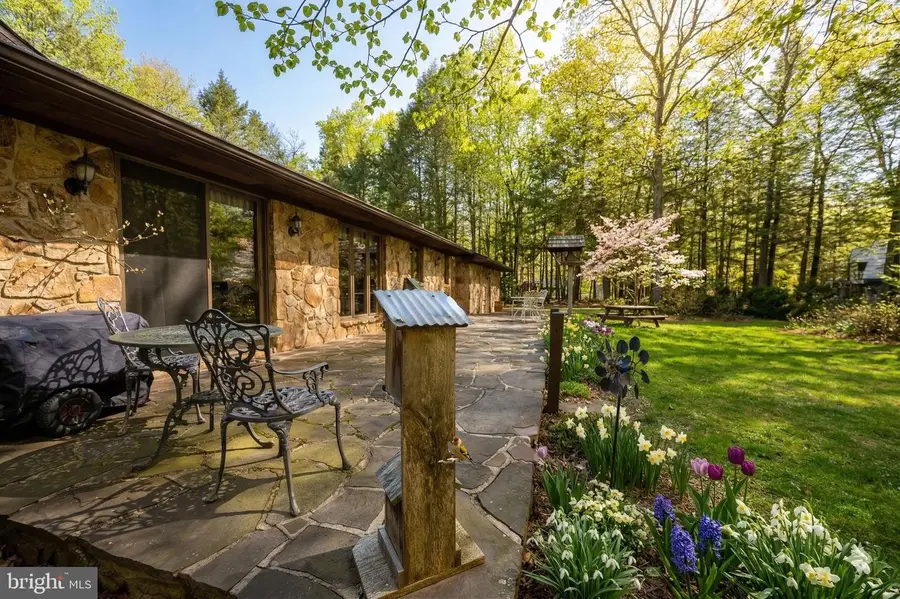 15443 Bittinger Rd, Grantsville, MD 21536 - #3