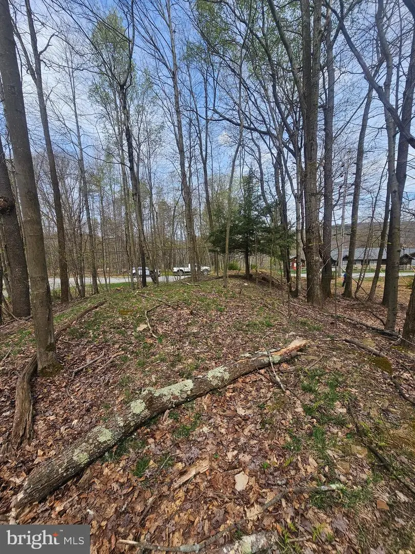 Lot 233 Cumberland, Oakland, MD 21550 - #2