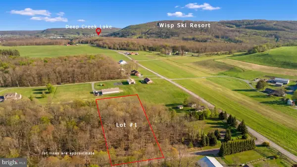 Lot 1 Aspen Woods Dr, MC HENRY, MD 21541