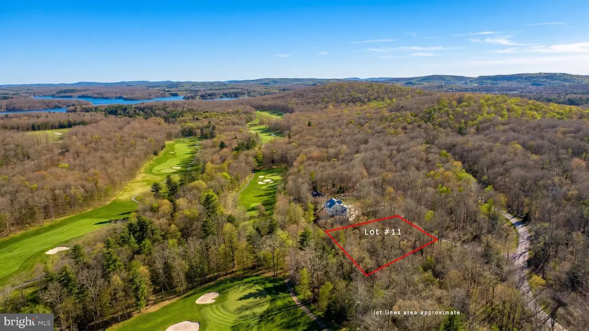Lot 11 Poland Heights Ln, Swanton, MD 21561 - #1