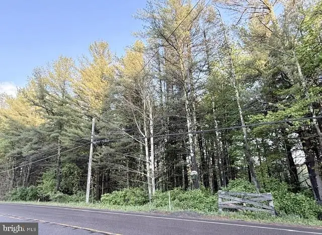 Hutton Road(2 Acres), Oakland, MD 21550 - #1