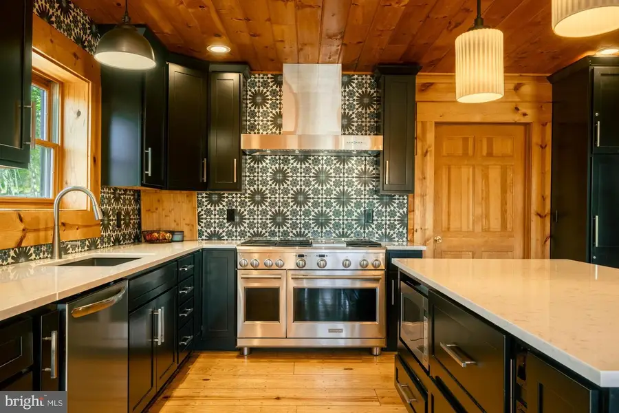 425 Hines Dr, Swanton, MD 21561 - #3