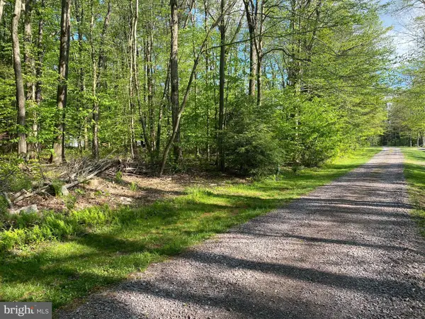 .99 Acre Rock Lodge, ACCIDENT, MD 21520