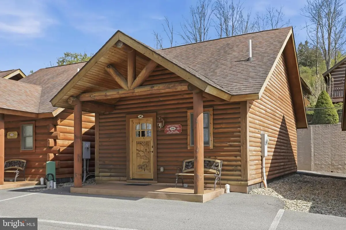 299 Cabin Lodge Rd, McHenry, MD 21541 - #1